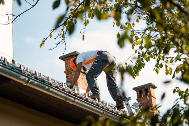 Quick and Trustworthy Emergency Roof Repair Services in Jan Phyl Village, FL